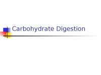 Carbohydrate Digestion and Absorption in Monogastrics and Ruminants - Prof. Jeffrey T. Tra
