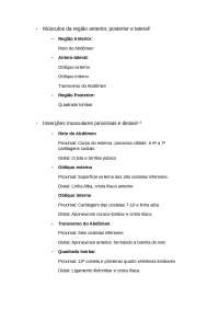 Músculos da região anterior, posterior e la