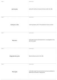 Ch.2: Physical & electrical properties of cells in the nervous system | OTH 4418 - Impact of Neurological Dysfunction on Human Performance