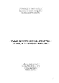 perda de carga
