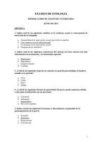 Examen Final 2010-2011