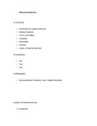 Neuroanatomia