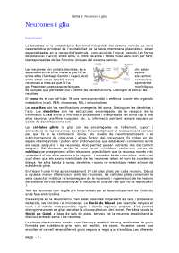 neurones i glia (molt bons!!)
