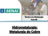 [Hidrometalurgia] Aula 08 - Metalurgia do Cobre