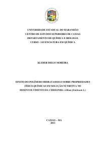 Efeito do polímero hidratassolo no desenvolvimento da cebolinha