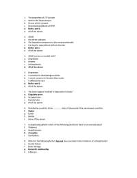 Practice Exam 4 - Brain and Behavior | PSY 209 - Docsity