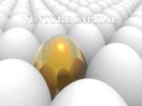 Financial Management - Venture capital financing