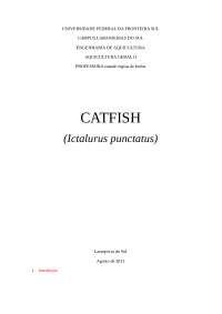 CATFISH(Ictalurus punctatus)