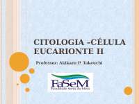 Citologia: Anatomia Ultrastrutural da Célula Eucarionte II
