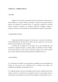resumo sola scriptura - caps 1 e 2
