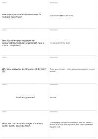 Cell Cycle and Mitosis: Understanding the Stages and Checkpoints