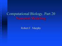 Understanding Neuronal Modeling: Membrane & Action Potentials in Computational Biology