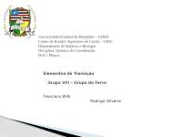 Grupo 8B (grupo do ferro)