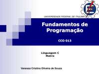 Aula 14 Matriz- programação de computadores - aula programação - Docsity