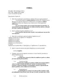 Questionário respondido
