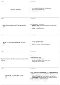 Anatomy of the Musculoskeletal System: Bones, Ligaments, Tendons, and Joints