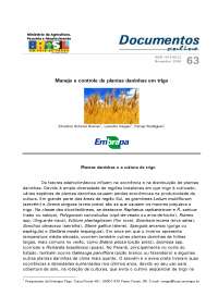 Controle de Plantas Daninhas no Trigo