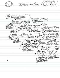 PLS 441 Notes - European Government and Politics | PLS 441