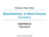 Glycolysis: The Three-Stage Process of Glucose Metabolism - Prof. Yogarajah Joseph