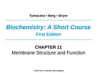 Biochemistry: Exploring Membrane Structure & Function with Phospholipids & Proteins - Prof