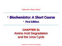 Amino Acid Degradation - Biochemistry | BIO 3390
