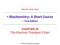 The Electron-Transport Chain - Lecture Slides | BIO 3390