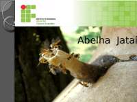 Material de aula: Abelha Jataí