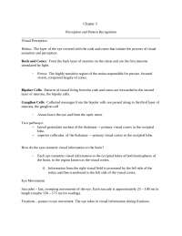 Lecture Notes on Perception and Pattern Recognition | PSYCH 4356