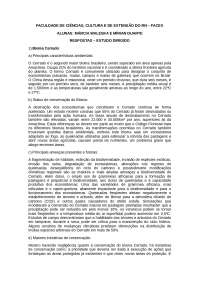 Estudo dirigido