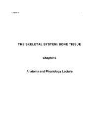 The Skeletal System: Bone Tissue - Lecture Notes | BIOL 2403