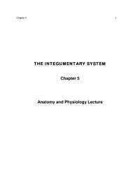 Lecture Notes on The Integumentary System - Anatomy and Physiology | BIOL 2403