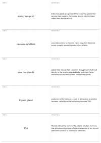 Understanding Endocrine System: Glands, Hormones, and Neurotransmitters