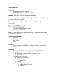 Review Sheet for Exam 1 - Vertebrate Paleontology | BIOL 371