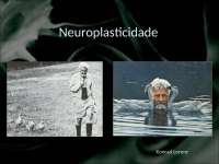 Neuroplasticidade