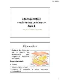 Citoesqueleto e movimentos celulares