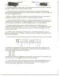Practice Exam 3 Answer Key - Genetics | ZOO 3333 - Docsity