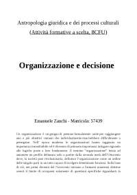 organizzazione e decisione luhmann