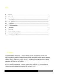 Relatório sobre Coleta e Identificação de Invertebrados