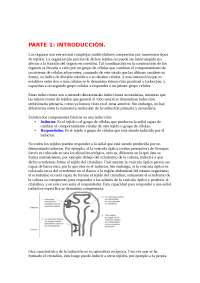 PARTE 1: INTRODUCCIÓN PARTE 2: INTERACCIONES INSTRUCTIVAS