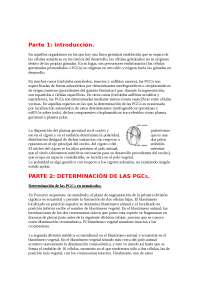 DETERMINACIÓN DE LAS PGC 
