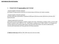 Aproximacion a una urbanidad sostenible atraves de algunos indicadores parte 2- Servicios urbanos - Apuntes