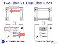 SONET/SDH Networks: Two-Fiber and Four-Fiber Rings Comparison