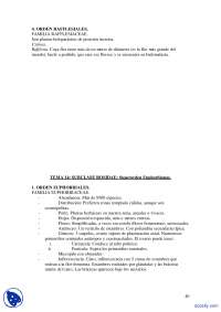 Examen de Biología: Ordenes y Familias de Plantas: Euphorbiaceae y Thymeleaceae
