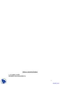 Características y clasificación de Ranunculaceae y Papaveraceae