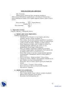 Subclase Arecidae: Características y Familias