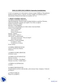 Tema 22: Subclase Lamídeas - Ordenes Scrophulariales, Hippurales y Lamiales