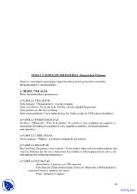 Tema 17: Subclase Dillenidae - Superorden Violanae