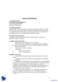 Estudios botánicos: Hamamélidas, Fagales y Urticaceae