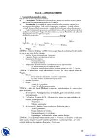 Espérmatofitos: Origen, Características y Evolución de las Plantas con Semillas
