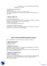Clasificación de Plantas: Subclase Rosidae